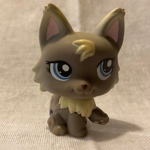 Littlest pet shop Persian cat 🐱